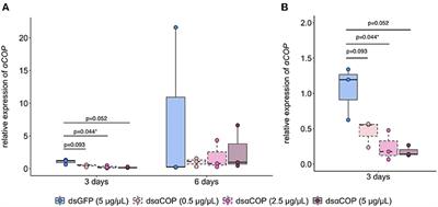 Anther-Feeding-Induced RNAi in Brassicogethes aeneus Larvae